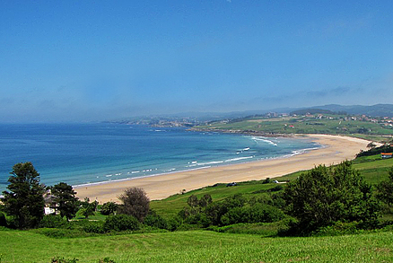 cinta Ceder Mono PLAYA DE OYAMBRE | Playas de Cantabria
